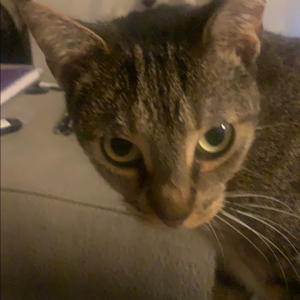 Meet your Posher, Elle